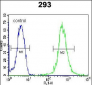 WDR48 Antibody (C-term)